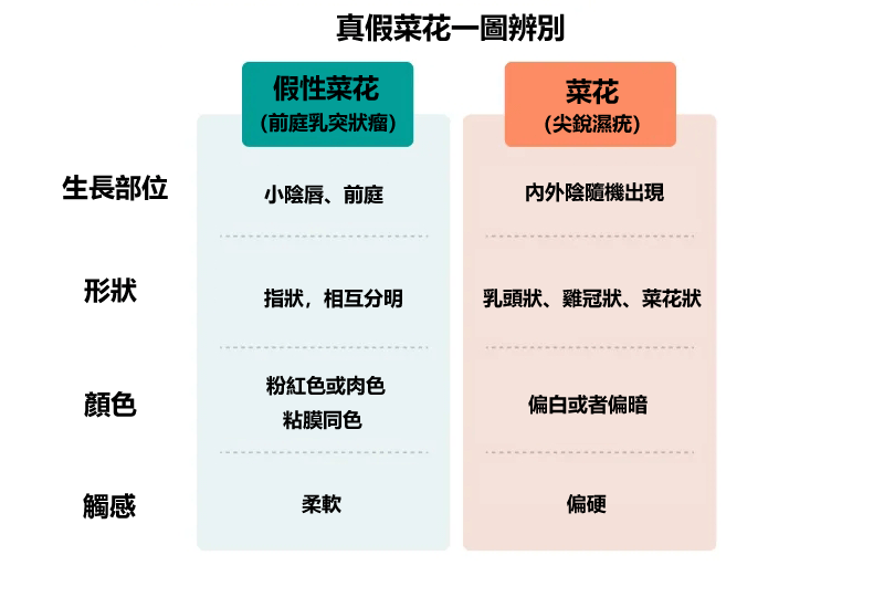 真假菜花一圖對比辨別